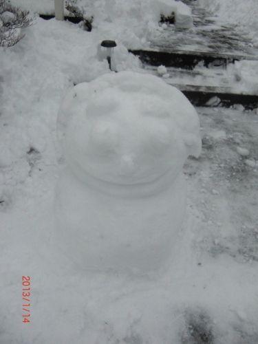 CIMG6627 (480x640).jpg