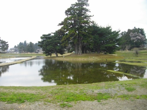 平泉無量光院西島 (500x375).jpg