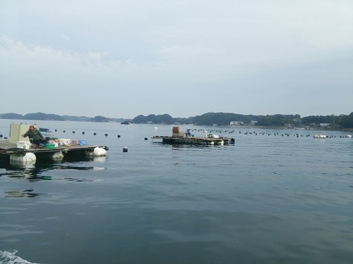 1011-8.JPG