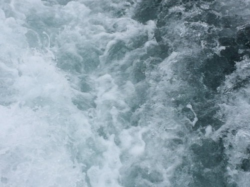 IMG_2255 (640x480).jpg