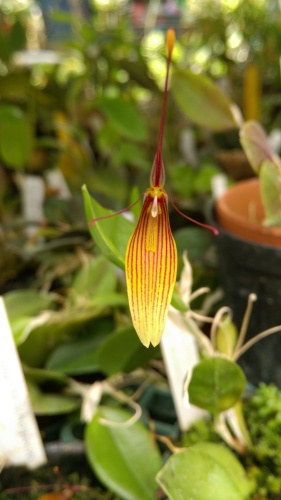 IMAG0947.jpg