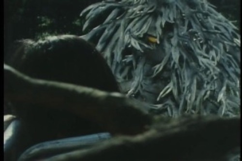 PDVD_004.jpg