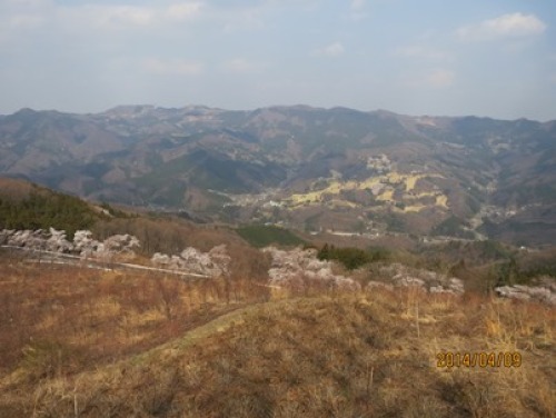 4.13 美の山 2.jpg