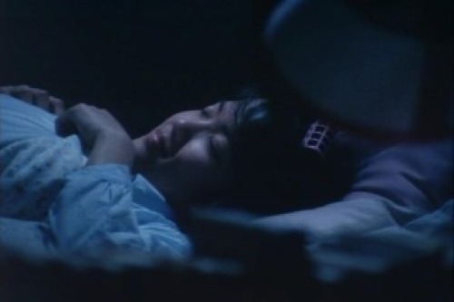 PDVD_038.jpg
