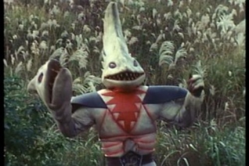 PDVD_036.jpg