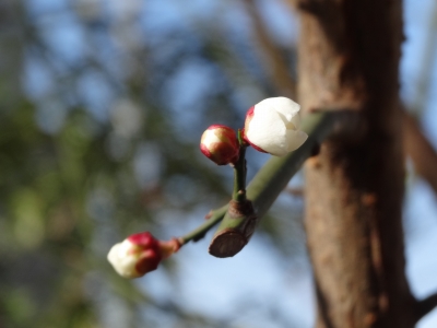 DSC00003.jpg