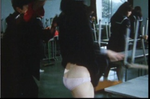 PDVD_015.jpg