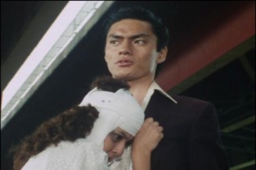 PDVD_028.jpg