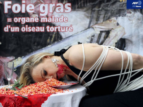 101246_foie-gras-afp.jpg