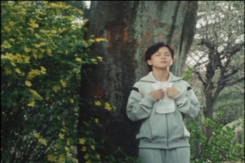 PDVD_026.jpg