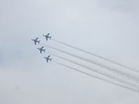IMG_9904_R.JPG