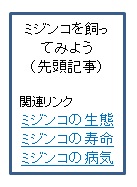 単ページリンク付き