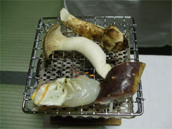 大川荘32.jpg