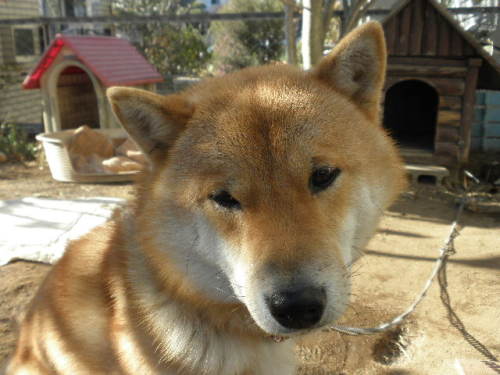 画像 4985.jpg