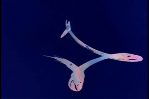 PDVD_000.jpg