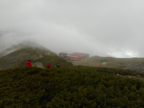 間ノ岳登山道より北岳山荘.JPG