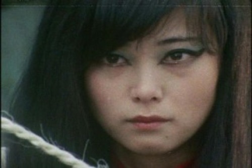 PDVD_032.jpg