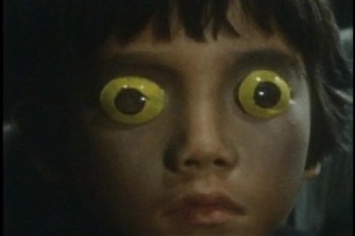 PDVD_012.jpg
