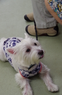 中11IMGP1093.jpg