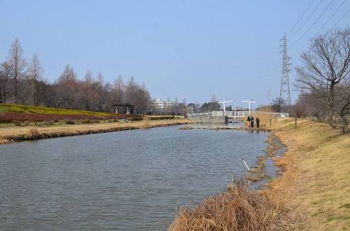 POND HANANOOKA 19.mAR.2017.jpg