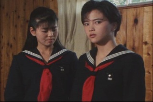 PDVD_019.jpg
