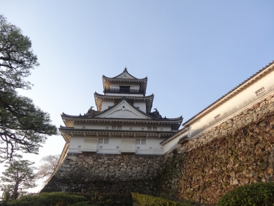 DSC00385.jpg