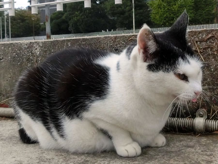 18.jpg