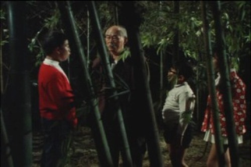 PDVD_062.jpg