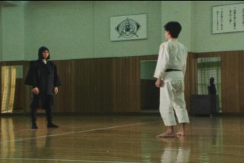 PDVD_002.jpg