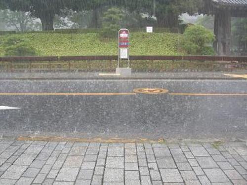 大雨.jpg