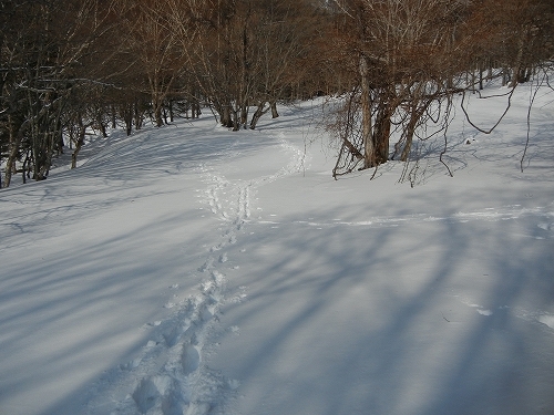 20140201帰り道.jpg