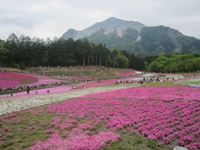 IMG_4017_R.JPG