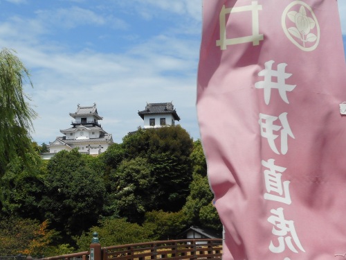 掛川城遠景.JPG