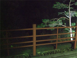 大川荘41.jpg