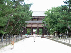 東大寺3.jpg