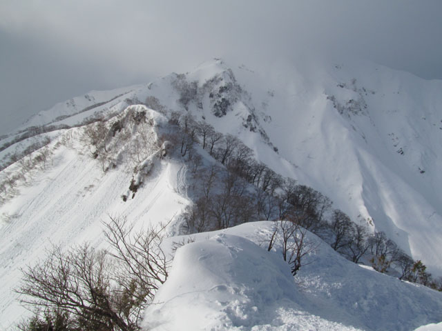 Tanigawa08.JPG