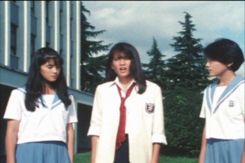 PDVD_044.jpg