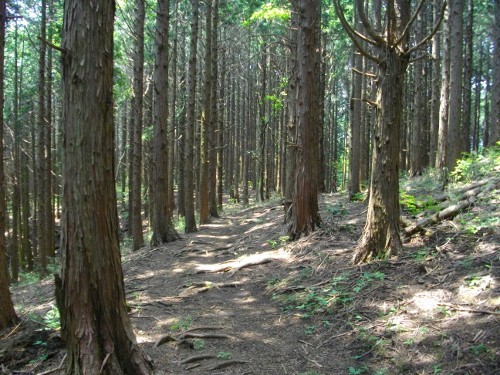 南郷山自鑑水 (2) (500x375).jpg