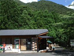屋久島108.jpg