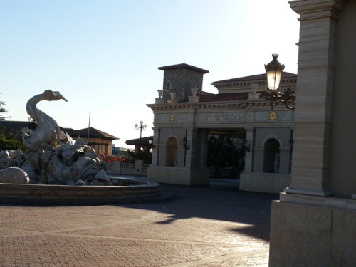 20131120_081704.jpg
