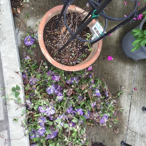 2016-05-06 14.34.13.jpg