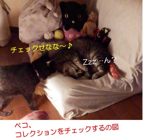 20150602_4.jpg