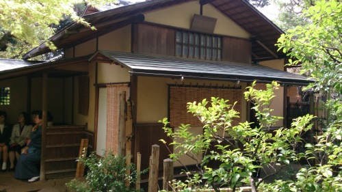茶会＠護国寺
