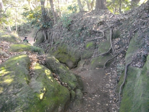 鎌倉天園ハイキング道.JPG