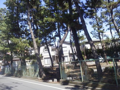 V-かんく公園.jpg