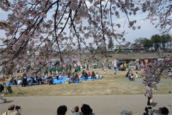 白石川16.jpg