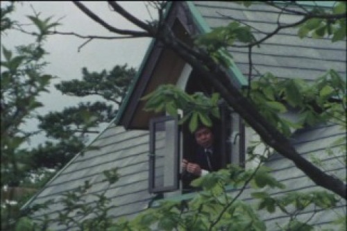 PDVD_007.jpg