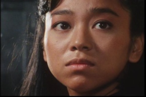 PDVD_003.jpg