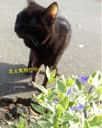 20150503_4.jpg