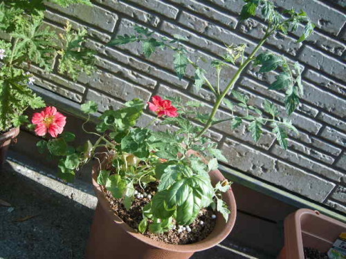 DSCI0057.JPG